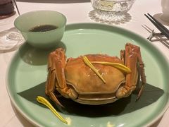 清蒸大闸蟹-西郊5号·Maggie 5