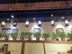 大堂-茶花妹子云南餐厅(传媒大学店)