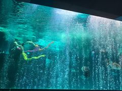 -泉城欧乐堡海洋极地世界