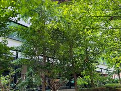 -大小咖啡 BigSmallCoffee(麦子店)