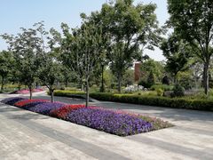 -上海山野camping·户外天幕烧烤·团建拓展营地