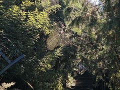 -北京十三陵国家森林公园蟒山景区