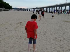 -演武大桥观景平台