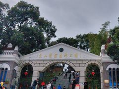 -上海佘山国家森林公园西佘山园