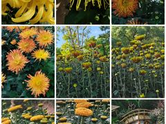 -共青国家森林公园-售票处