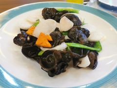山药炒木耳-阿西叶滩羊馆(交大店)