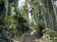 -梅岭神龙潭