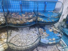 -晶渔坊·海鲜私房菜(东夷小镇店)