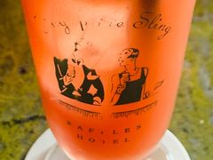 -Long Bar(莱佛士酒店)