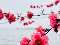 -浙江西子宾馆·瑶园咖啡厅