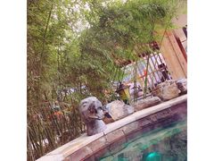 -中家鑫园温泉酒店鑫悦汤泉