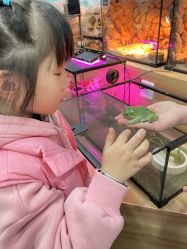 -Moni星球萌宠·小马宝莉·灵蛇·高端高阶全萌宠互动体验俱乐部(红豆国际广场店)