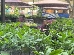 -甘家界牌柠檬鸭(青山店)