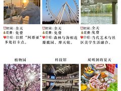 -日照灯塔风景区