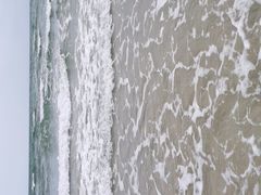 -贝壳沙滩