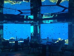 -迪拜帆船酒店海底餐厅