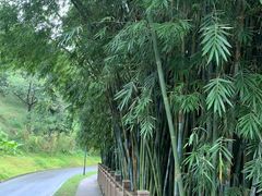 -大欢喜饭店(江怡路店)