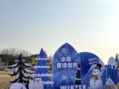 -荷兰花海