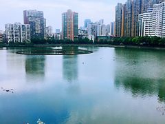 -西北湖绿化广场