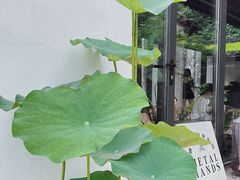 -Metal hands·铁手咖啡