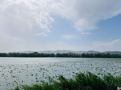 -皇家御河游(紫御湾码头)