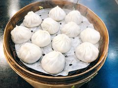 鲜肉小笼-大龙汤包
