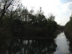 -溱湖国家湿地公园