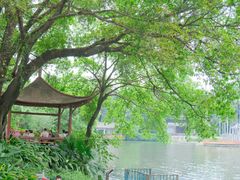 -荔湾湖公园
