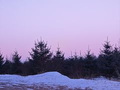 -塞罕坝国家级自然保护区