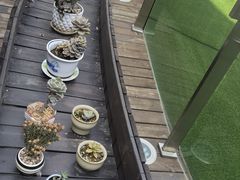 -金陵图书馆