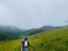 -灵山