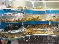 -四海蒸鲜蒸汽海鲜自助(北戴河店)
