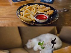 -咖法森林·咖啡  酒吧(天河店)