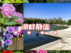 -新江湾城公园