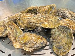 -飞尝蚝·顺德菜·鱼生(顺德总店)