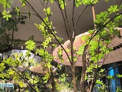 -春熙小馆(乘风庄店)