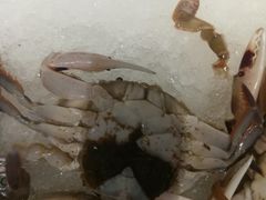 -蒙肥羊·酸汤潮牛·鲜牛肉火锅烤肉自助(岗顶店)