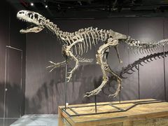 -正佳自然科学博物馆