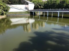 -深圳国际园林花卉博览园