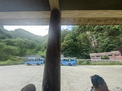 -牛背梁国家森林公园