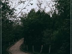 -云岗森林公园