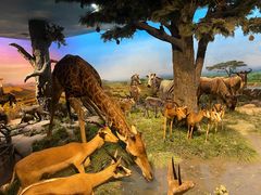 -国家自然博物馆