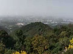 -杭州半山国家森林公园