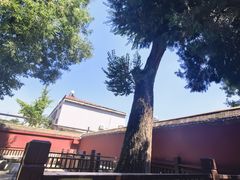 -天宁寺