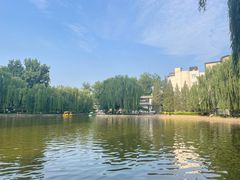 -团结湖公园