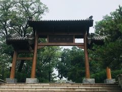 -阳台山自然风景区