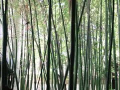 -茶肆(袁家村店)