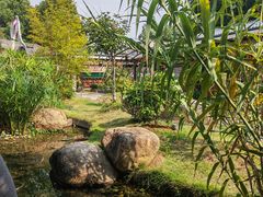 -湘力力小院·鱼汤泡饭(枫林路店)