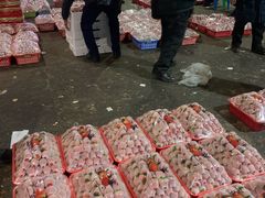 -菜园坝水果市场