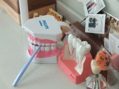 -Dr.Z dental仁康种植矫正中心